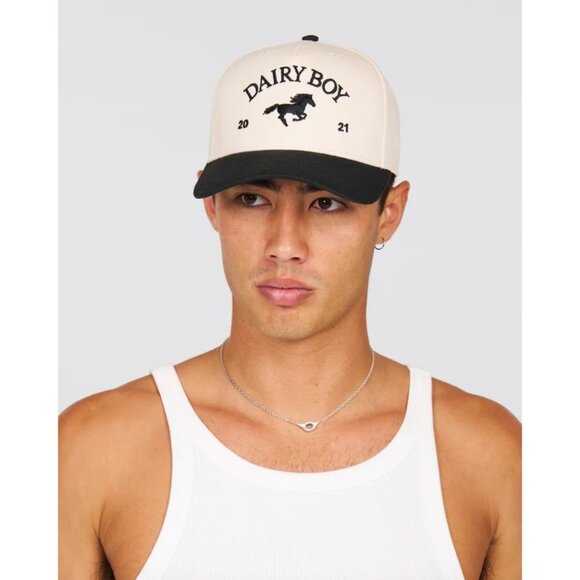 Dairy Boy East Coast Trucker Hat in Black One Size New Womens Snap Back - Picture 11 of 12